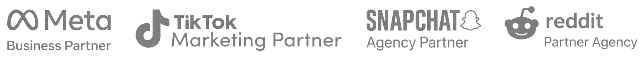 Meta Business Partner