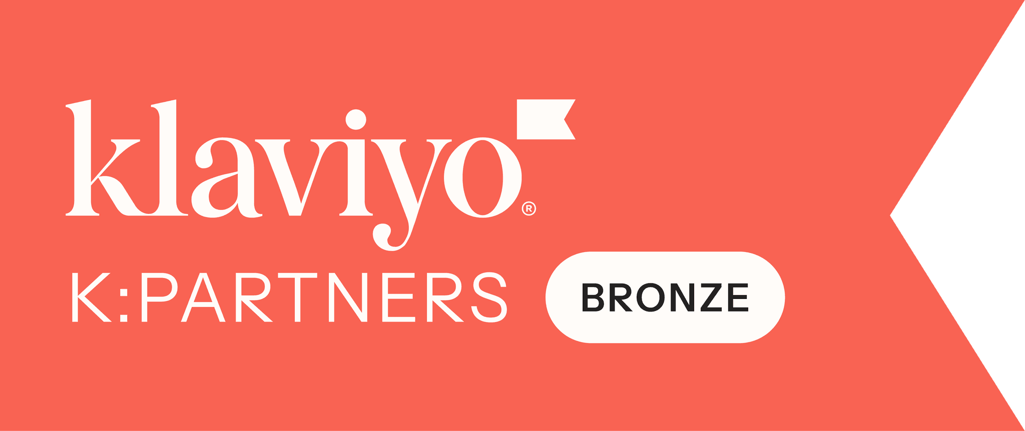 Klaviyo Partner